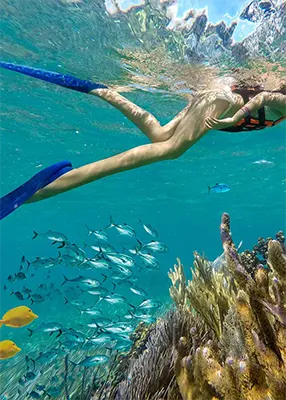 Snorkeling reef and ATVs from Cancun